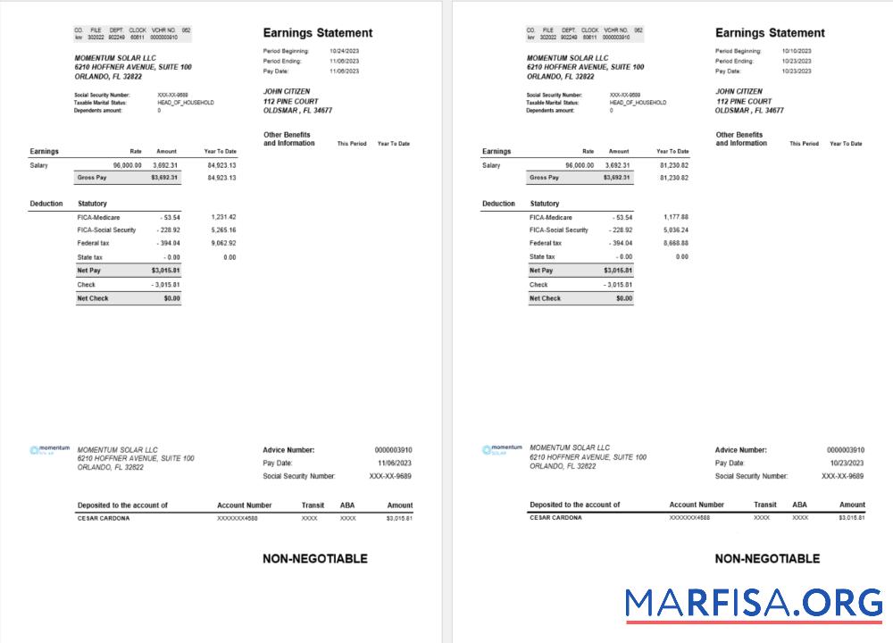 Realistic USA Florida Momentum Solar LLC paystub real example